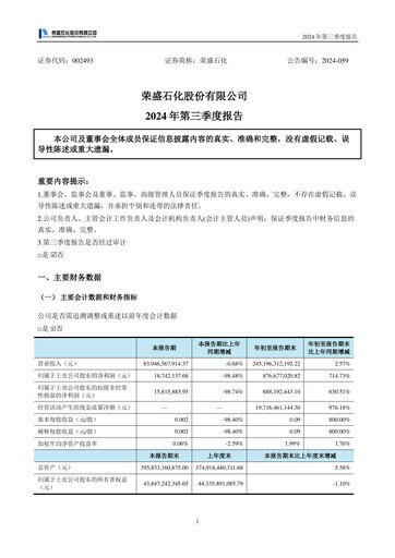 Thumbnail Rongsheng Petrochemical Quarterly Report 2024-q3