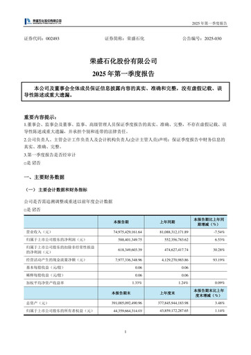 Thumbnail Rongsheng Petrochemical Quarterly Report 2025-q1