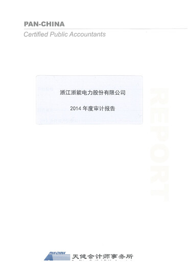 Thumbnail Zhejiang Zheneng Electric Financial Statement 2014