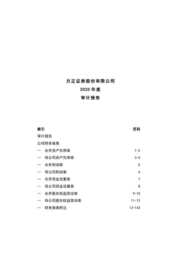 Thumbnail Founder Securities Financial Statement 2020