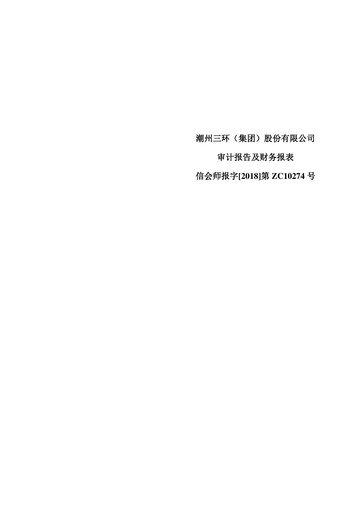 Thumbnail Chaozhou Three-Circle Financial Statement 2017