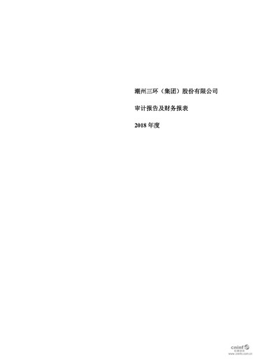 Thumbnail Chaozhou Three-Circle Financial Statement 2018