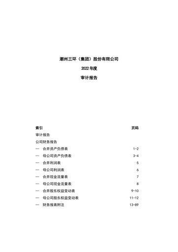Thumbnail Chaozhou Three-Circle Financial Statement 2022