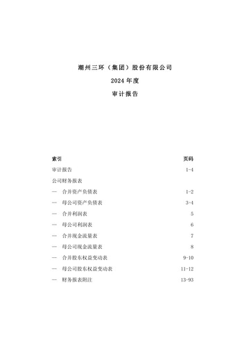 Thumbnail Chaozhou Three-Circle Financial Statement 2024