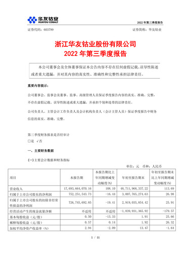 Vorschaubild Zhejiang Huayou Cobalt Quartalsbericht 2022-q3