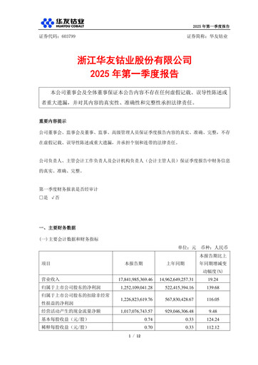 Vorschaubild Zhejiang Huayou Cobalt Quartalsbericht 2025-q1