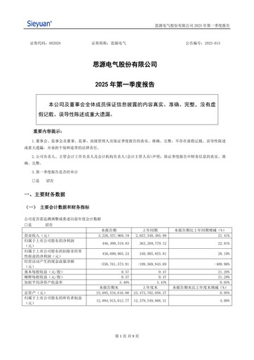 Thumbnail Sieyuan Electric Quarterly Report 2025-q1