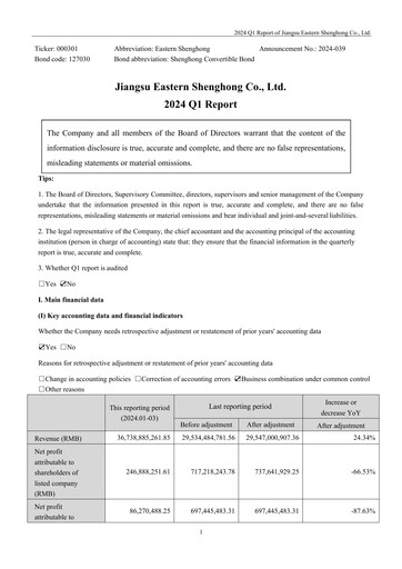 Thumbnail Jiangsu Eastern Shenghong Quarterly Report 2024-q1