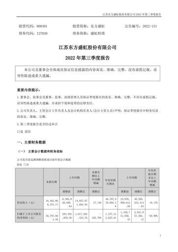 Thumbnail Jiangsu Eastern Shenghong Quarterly Report 2022-q3