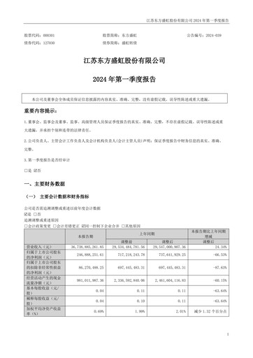 Thumbnail Jiangsu Eastern Shenghong Quarterly Report 2024-q1