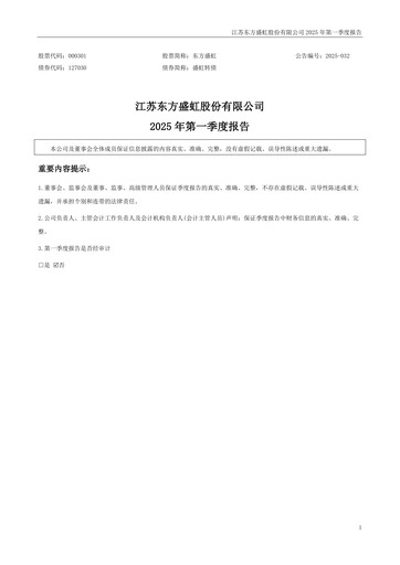 Thumbnail Jiangsu Eastern Shenghong Quarterly Report 2025-q1
