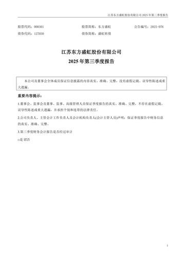 Thumbnail Jiangsu Eastern Shenghong Quarterly Report 2025-q3