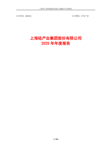 Thumbnail National Silicon Industry Group Annual Report 2025