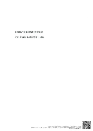 Thumbnail National Silicon Industry Group Financial Statement 2022