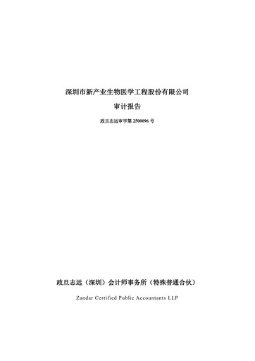 Thumbnail Shenzhen New Industries Biomedical Engineering Financial Statement 2024