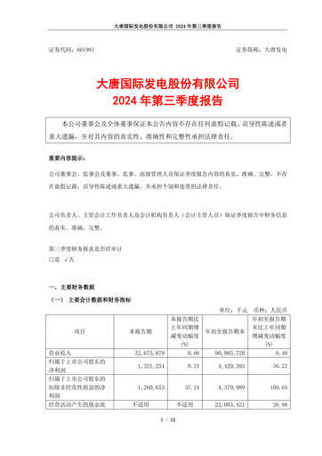 Thumbnail Datang International Power Generation Company Quarterly Report 2024-q3