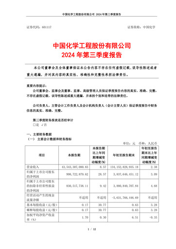 Vorschaubild China National Chemical Engineering (CNCEC) Quartalsbericht 2024-q3