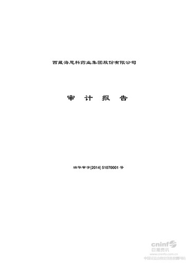 Thumbnail Haisco Pharmaceutical Group Financial Statement 2013