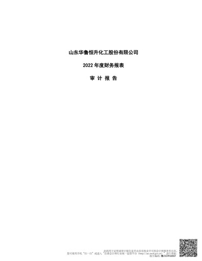 Thumbnail Hualu Hengsheng Financial Statement 2022