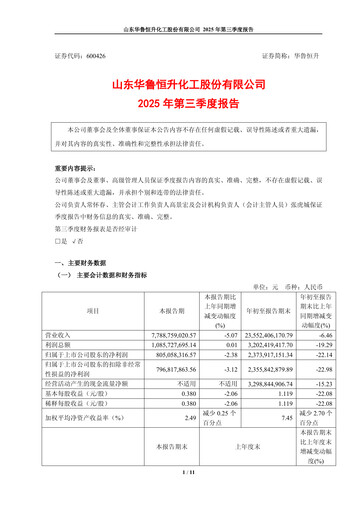 Thumbnail Hualu Hengsheng Quarterly Report 2025-q3