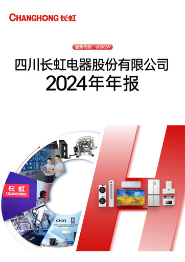 Miniature Sichuan Changhong Electric Rapport annuel 2024