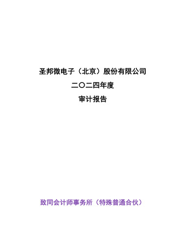 Thumbnail SG Micro Financial Statement 2024