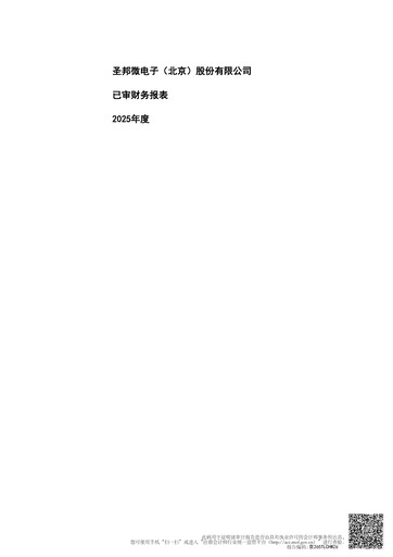 Thumbnail SG Micro Financial Statement 2025