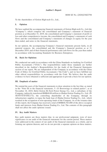 Thumbnail Gotion High-tech Co.,Ltd. Financial Statement 2019