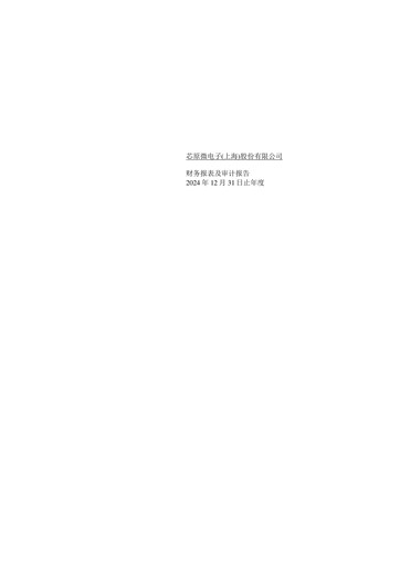 Thumbnail VeriSilicon Microelectronics Financial Statement 2024