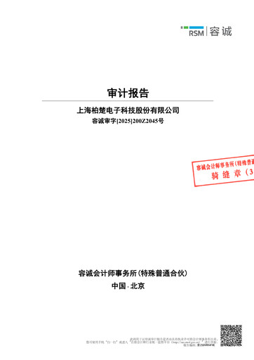 Thumbnail Shanghai BOCHU Electronic Technology Financial Statement 2024