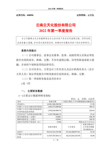 Thumbnail Yuntianhua Quarterly Report 2022-q1
