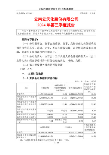Thumbnail Yuntianhua Quarterly Report 2024-q3