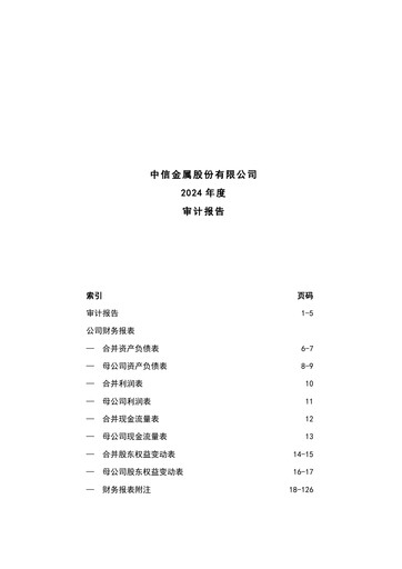 Thumbnail CITIC Metal Financial Statement 2024