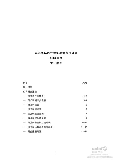 Thumbnail Jiangsu Yuyue Medical Equipment & Supply Co., Ltd. Financial Statement 2013