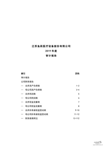Thumbnail Jiangsu Yuyue Medical Equipment & Supply Co., Ltd. Financial Statement 2019