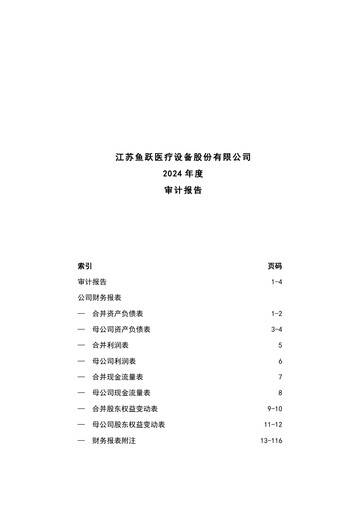 Thumbnail Jiangsu Yuyue Medical Equipment & Supply Co., Ltd. Financial Statement 2024