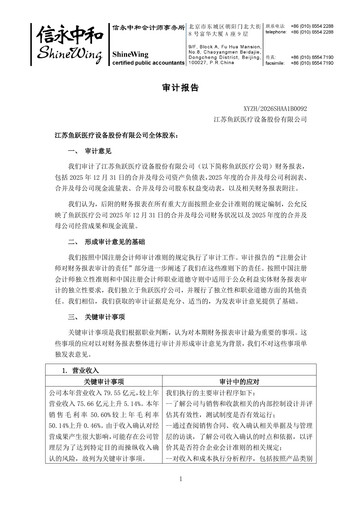 Thumbnail Jiangsu Yuyue Medical Equipment & Supply Co., Ltd. Financial Statement 2025