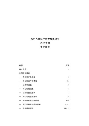 Vorschaubild Wuhan Guide Infrared Finanzmitteilung 2023