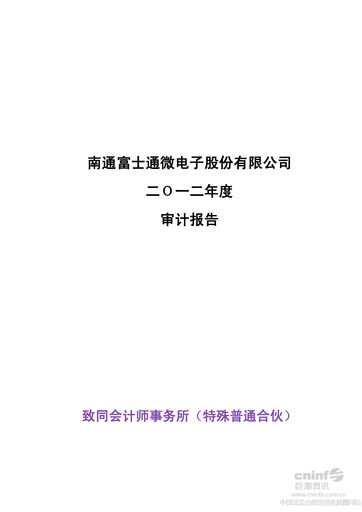 Thumbnail Tongfu Microelectronics Co.,Ltd Financial Statement 2012