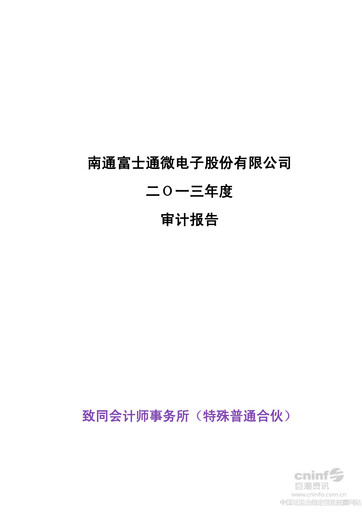 Thumbnail Tongfu Microelectronics Co.,Ltd Financial Statement 2013
