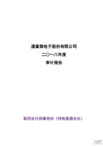Thumbnail Tongfu Microelectronics Co.,Ltd Financial Statement 2018