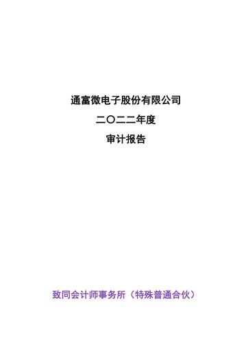 Thumbnail Tongfu Microelectronics Co.,Ltd Financial Statement 2022