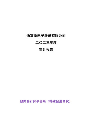 Thumbnail Tongfu Microelectronics Co.,Ltd Financial Statement 2023
