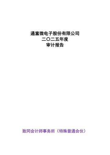 Thumbnail Tongfu Microelectronics Co.,Ltd Financial Statement 2025