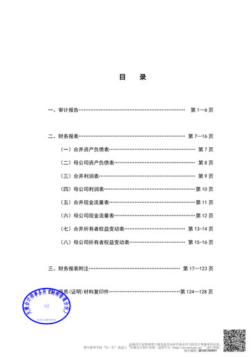 Thumbnail Hangzhou Greatstar Industrial Financial Statement 2025