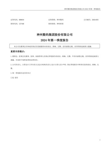 Thumbnail Digital China Group Co., Ltd. Quarterly Report 2024-q1