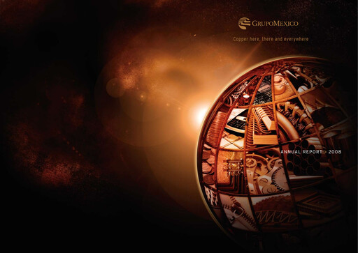Thumbnail Grupo México
 Annual Report 2008
