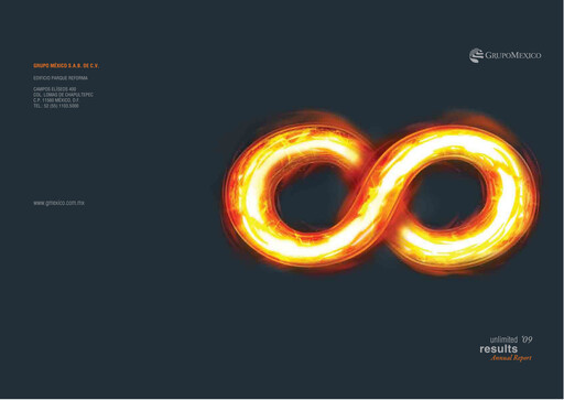 Thumbnail Grupo México
 Annual Report 2009