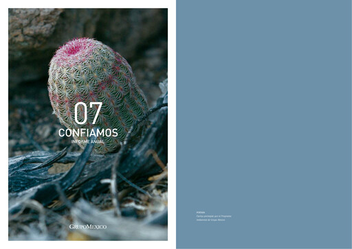 Vorschaubild Grupo México
 Jahresbericht 2007