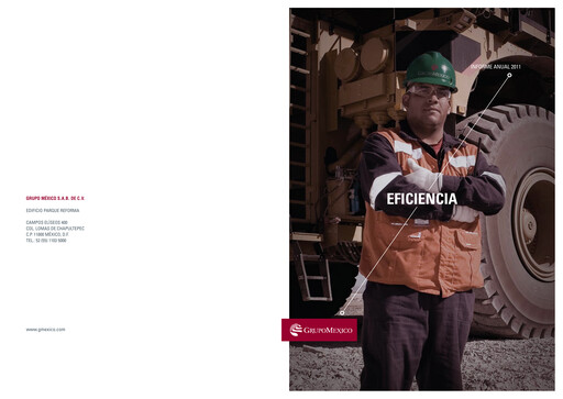 Vorschaubild Grupo México
 Jahresbericht 2011